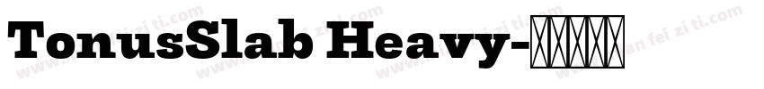 TonusSlab Heavy字体转换